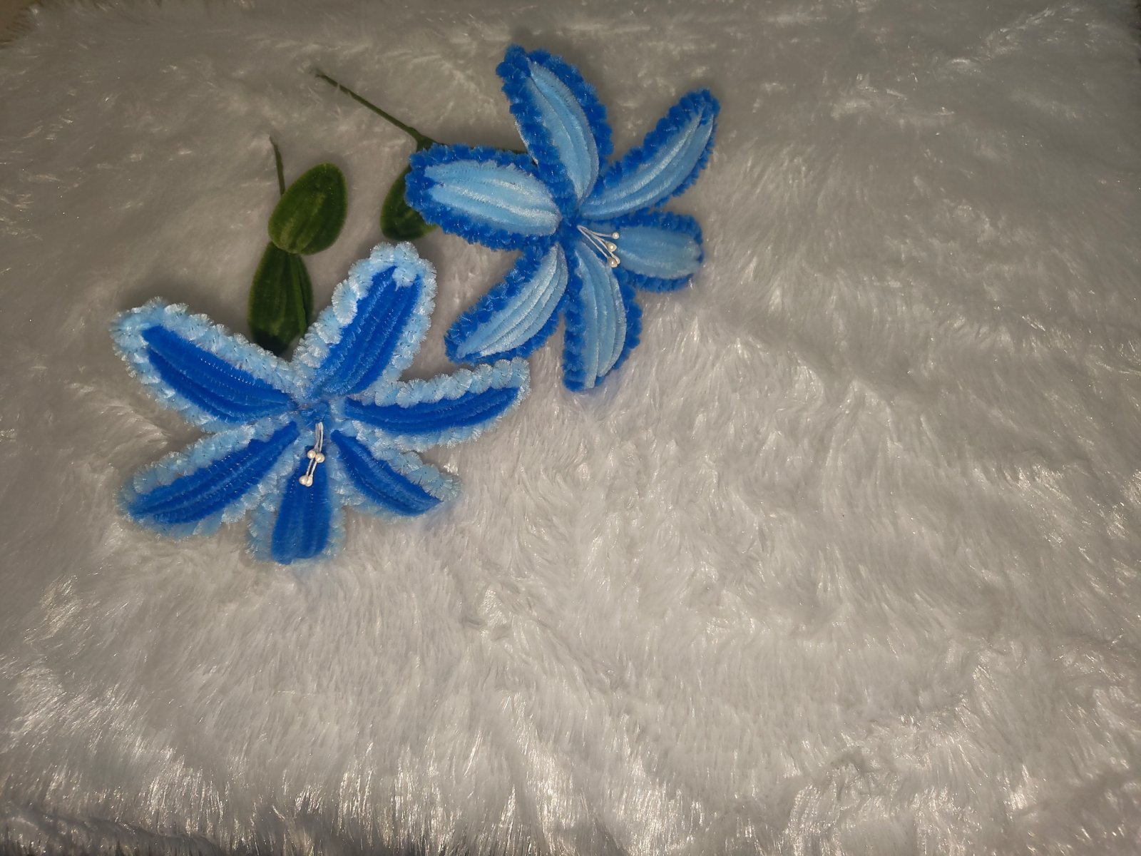 Blue bloom